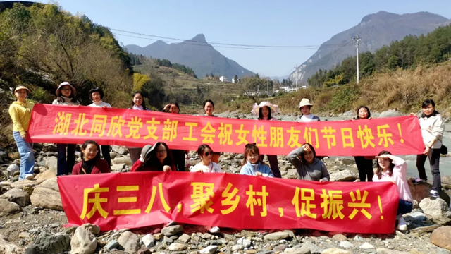 202601141212429ry76N